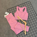 Conjunto Ayla em Poliamida Liso - Rosa